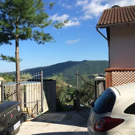 Ulivo *